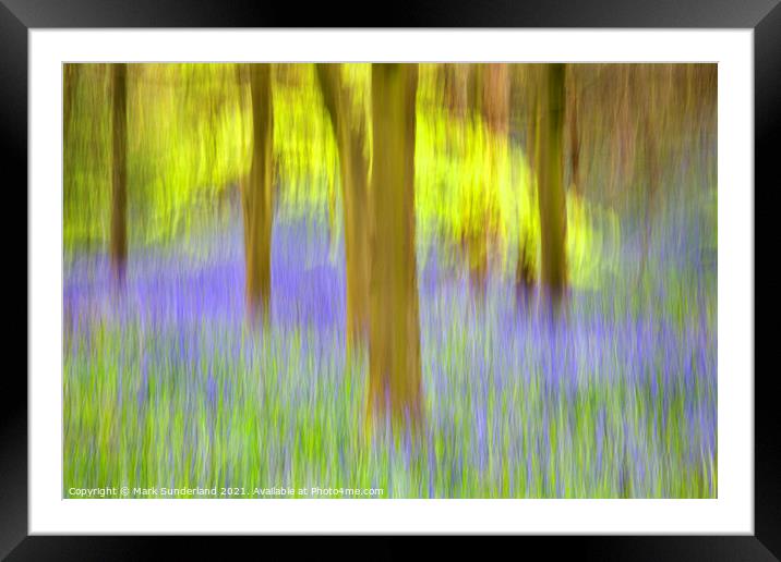 Bluebells and Spring Trees Middleton Woods Framed Mounted Print by Mark Sunderland
