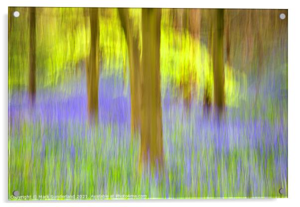 Bluebells and Spring Trees Middleton Woods Acrylic by Mark Sunderland