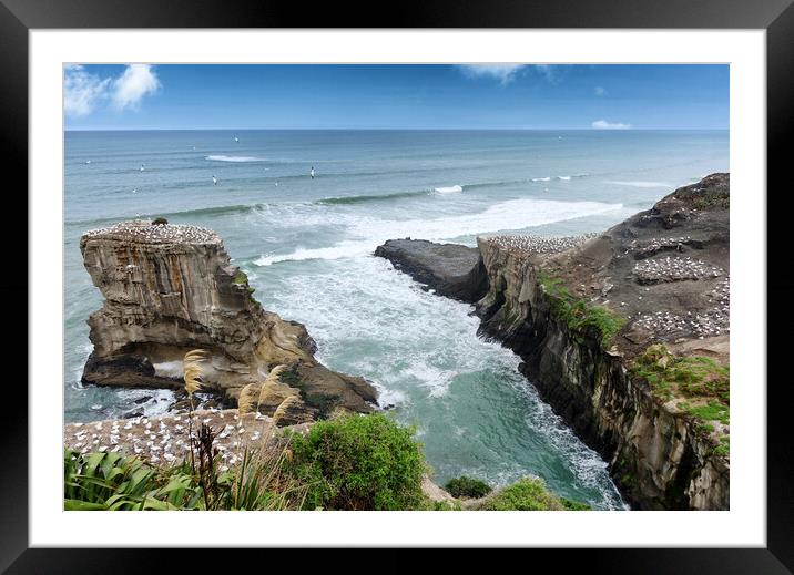Inlet of the jagged New Zealand coastline with Pac Framed Mounted Print by Thomas Baker