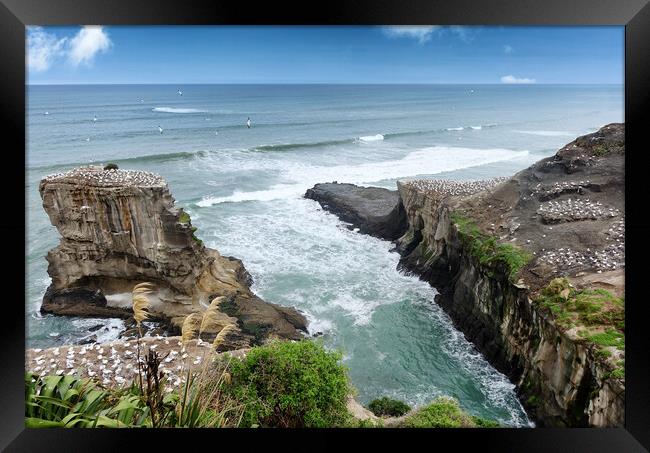 Inlet of the jagged New Zealand coastline with Pac Framed Print by Thomas Baker