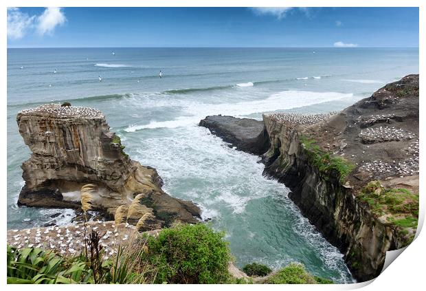 Inlet of the jagged New Zealand coastline with Pac Print by Thomas Baker
