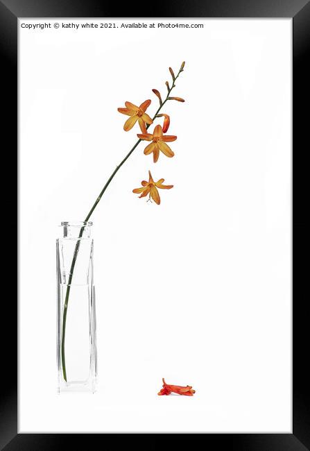 Minimum flower photography  Framed Print by kathy white