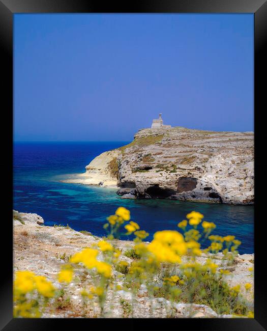 St. Pauls Island,Malta. Framed Print by Philip Enticknap