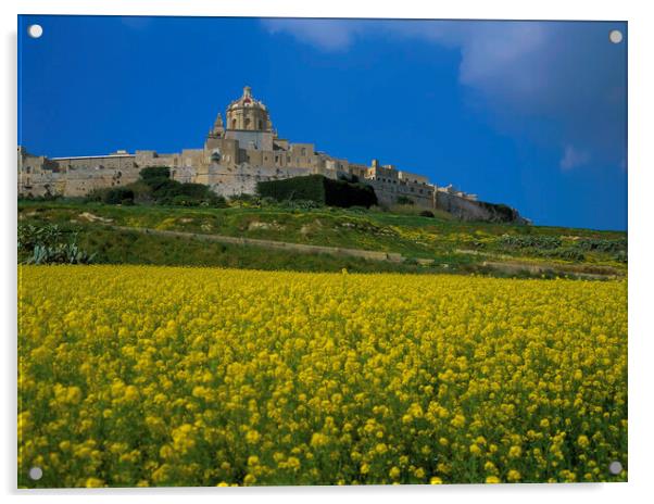 Mdina , Malta  Acrylic by Philip Enticknap