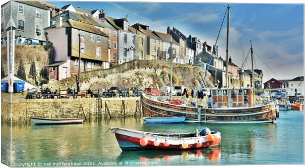 Mevagissey Cottages & Boats, Cornwall. Canvas Print by Neil Mottershead