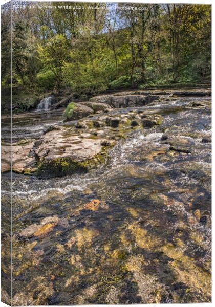 Pure water of Aysgarth falls Canvas Print by Kevin White