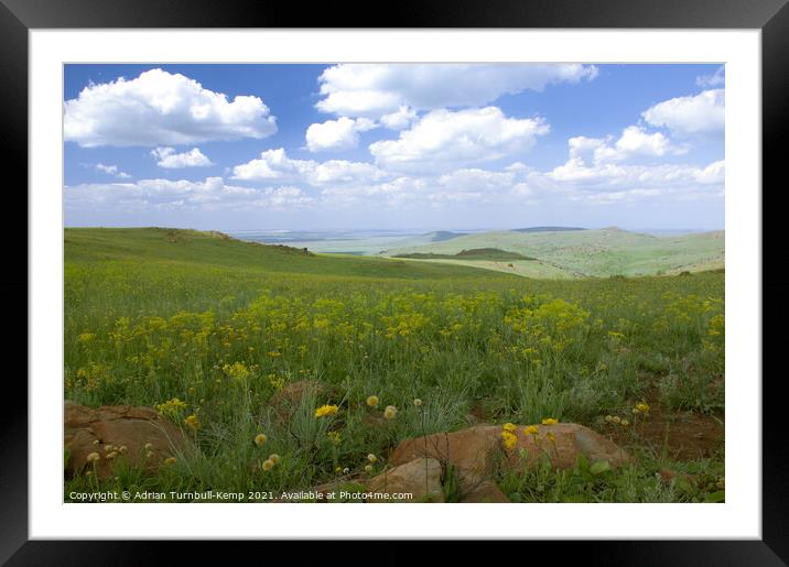 Wildflower meadow, Suikerbosrand Nature Reserve, Gauteng, South Africa. Framed Mounted Print by Adrian Turnbull-Kemp