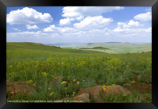 Wildflower meadow, Suikerbosrand Nature Reserve, Gauteng, South Africa. Framed Print by Adrian Turnbull-Kemp