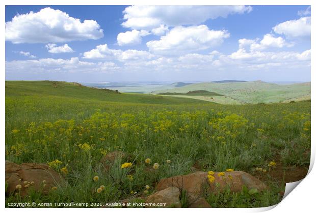 Wildflower meadow, Suikerbosrand Nature Reserve, Gauteng, South Africa. Print by Adrian Turnbull-Kemp