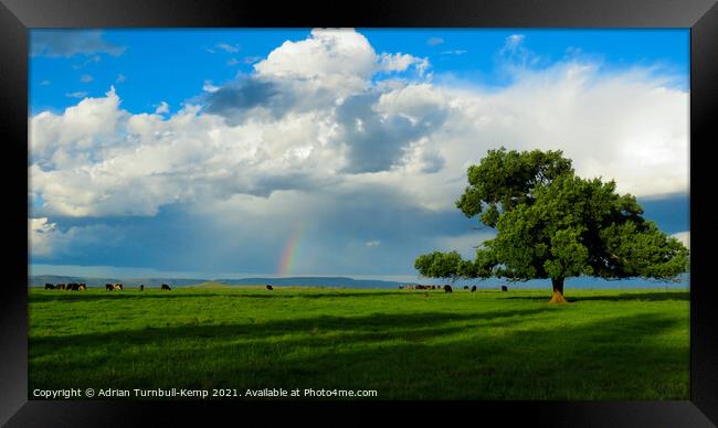 End of the rainbow near Magaliesberg, North West, South Africa Framed Print by Adrian Turnbull-Kemp