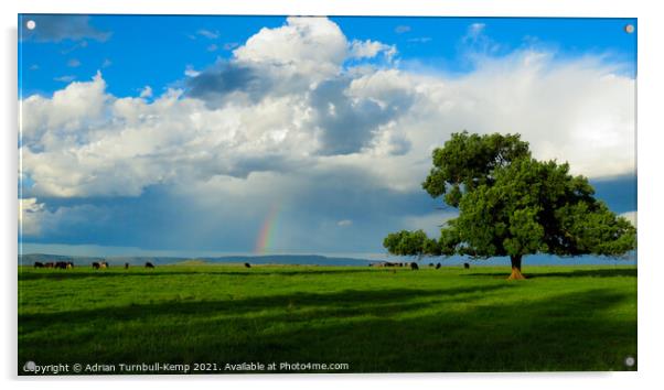 End of the rainbow near Magaliesberg, North West, South Africa Acrylic by Adrian Turnbull-Kemp