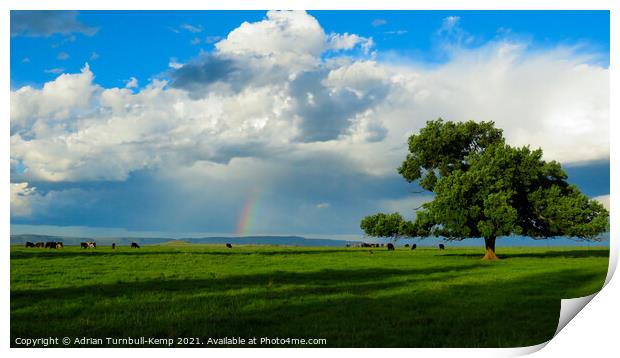 End of the rainbow near Magaliesberg, North West, South Africa Print by Adrian Turnbull-Kemp