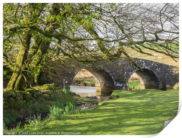 The bridge at Two Bridges Dartmoor Print by JUDI LION