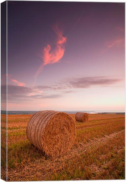 Bales At Sunset. Canvas Print by Andrew Wheatley