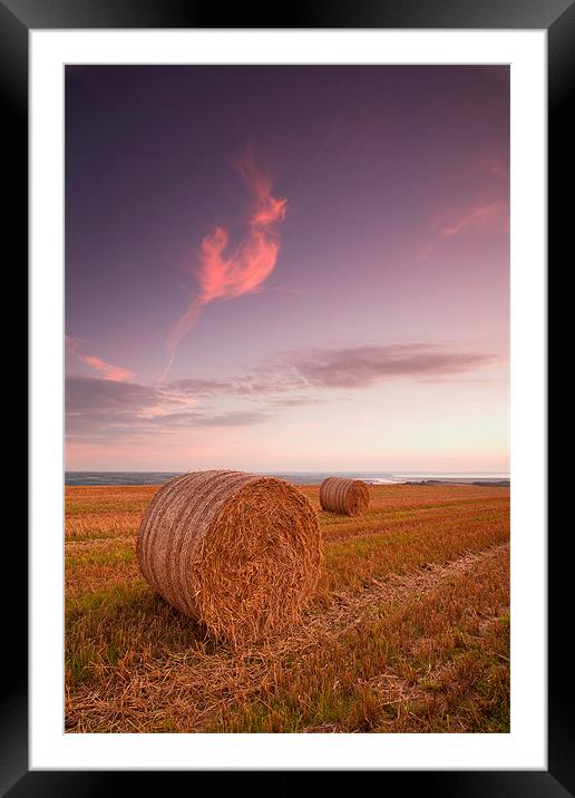 Bales At Sunset. Framed Mounted Print by Andrew Wheatley