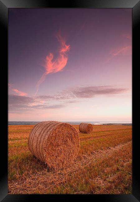 Bales At Sunset. Framed Print by Andrew Wheatley