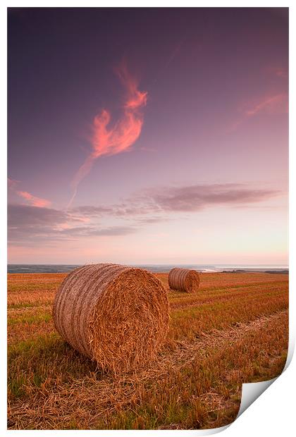Bales At Sunset. Print by Andrew Wheatley