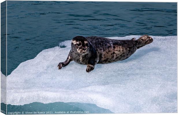 Harbour Seal On The Ice Canvas Print by Steve de Roeck