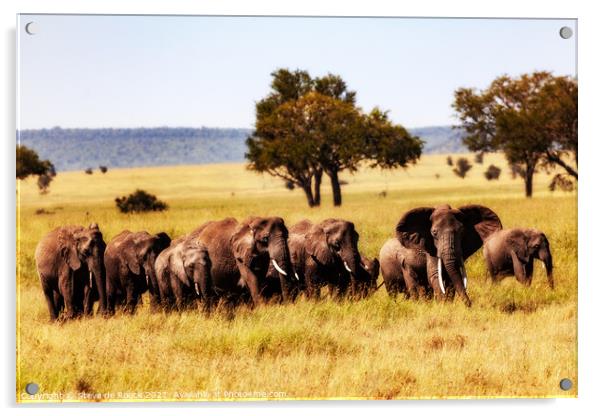 Elephant family as evening approaches Acrylic by Steve de Roeck