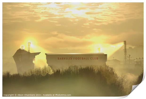 Oakwell Stadium Barnsley FC Print by Alison Chambers