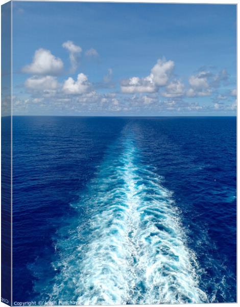 path of a cruise ship blue sky Canvas Print by Anish Punchayil Sukumaran