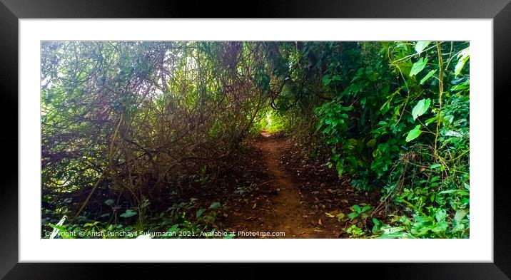 Walking path near to river in Kerala Framed Mounted Print by Anish Punchayil Sukumaran