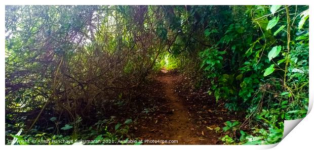 Walking path near to river in Kerala Print by Anish Punchayil Sukumaran
