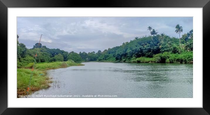 Fishing near the banks of meenachil river and trees and coconut trees Framed Mounted Print by Anish Punchayil Sukumaran