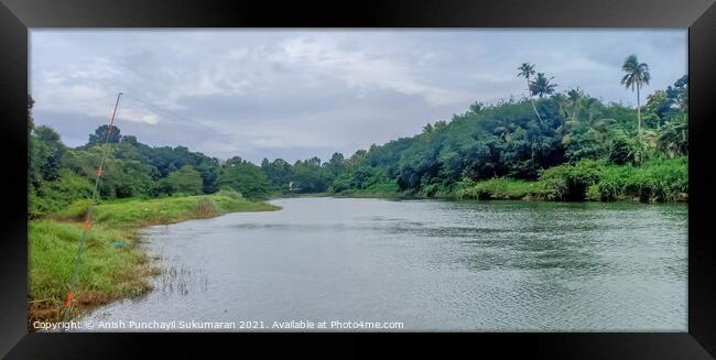 Fishing near the banks of meenachil river and trees and coconut trees Framed Print by Anish Punchayil Sukumaran
