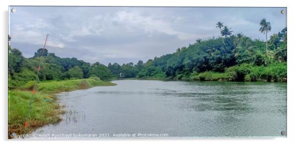 Fishing near the banks of meenachil river and trees and coconut trees Acrylic by Anish Punchayil Sukumaran