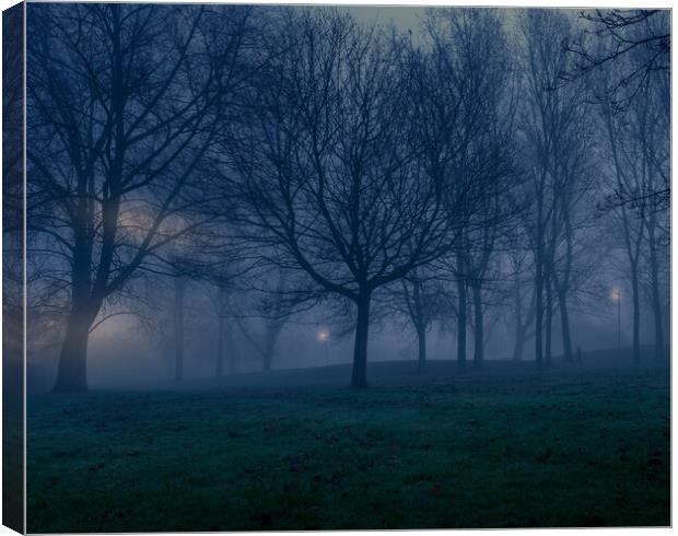 Dark Mist Night Canvas Print by simon alun hark