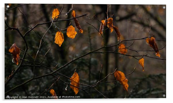 Autumn's last Acrylic by Alan Dunnett