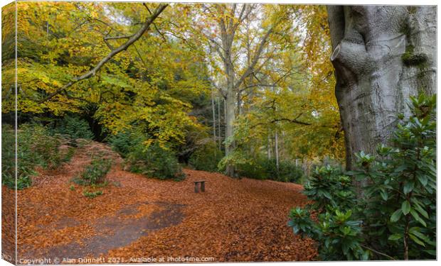 Autumn Bench Canvas Print by Alan Dunnett