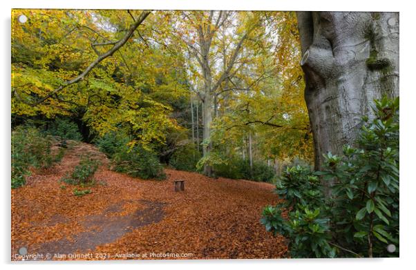 Autumn Bench Acrylic by Alan Dunnett