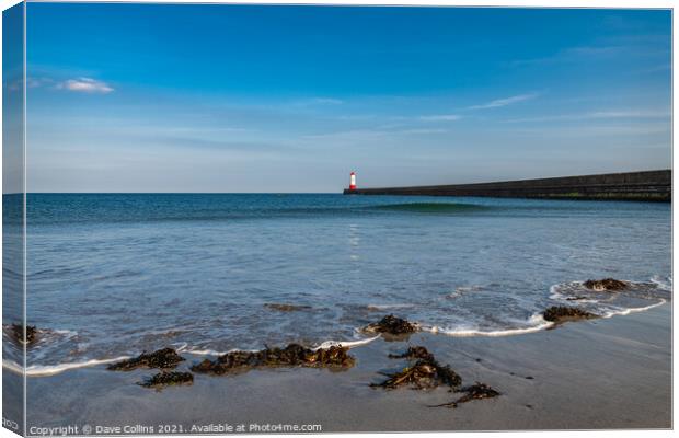 Harbour Entrance Light Tower, Berwick-Upon-Tweed Canvas Print by Dave Collins