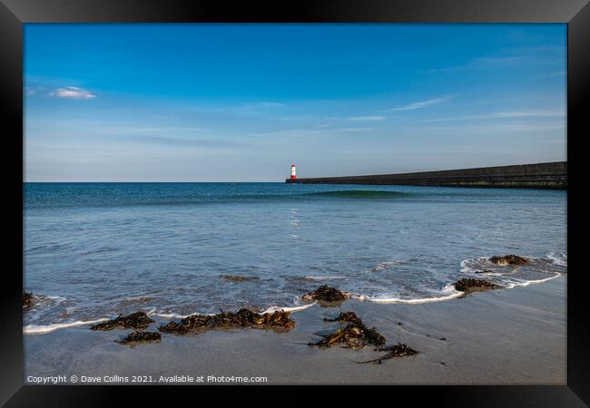 Harbour Entrance Light Tower, Berwick-Upon-Tweed Framed Print by Dave Collins