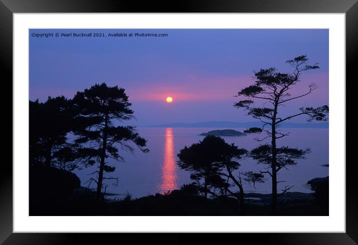 Scots Pines at Sunset on Scottish West Coast Framed Mounted Print by Pearl Bucknall