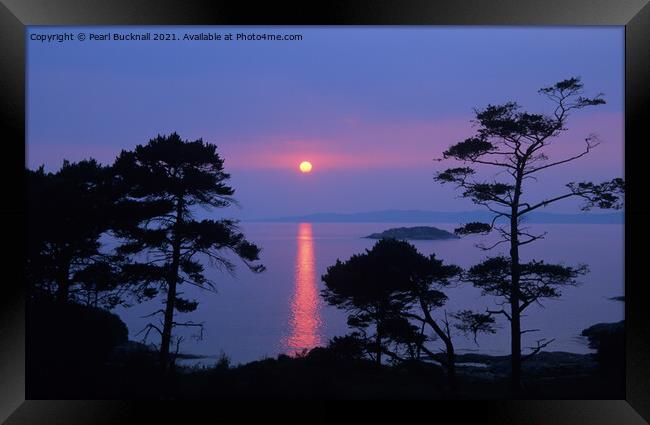 Scots Pines at Sunset on Scottish West Coast Framed Print by Pearl Bucknall
