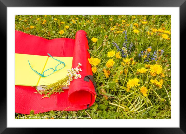 relax on a flowery meadow in spring Framed Mounted Print by daniele mattioda