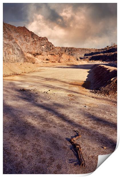 Desolation Print by Richard Downs