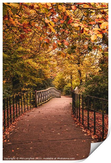 Autumnal Pathway Print by Phil Longfoot