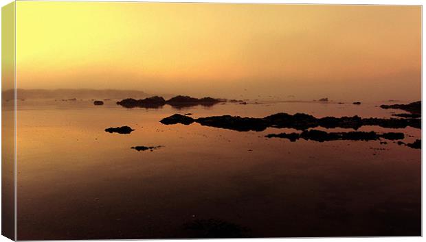 Misty Calm at Cwyfan Bay Canvas Print by Ian Tomkinson