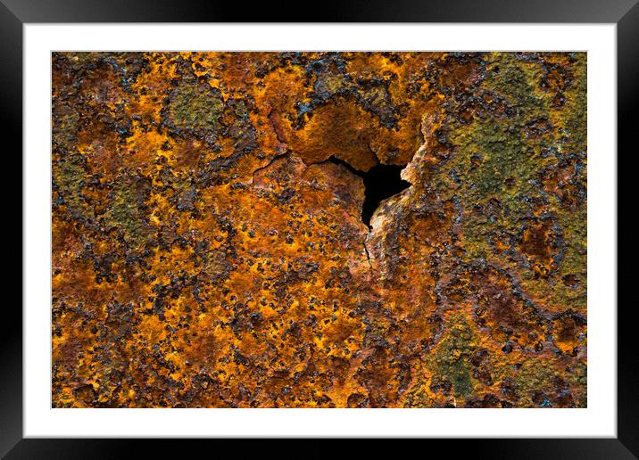 Rusty. Framed Mounted Print by Bill Allsopp