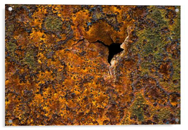 Rusty. Acrylic by Bill Allsopp