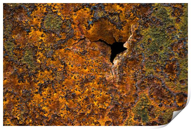 Rusty. Print by Bill Allsopp