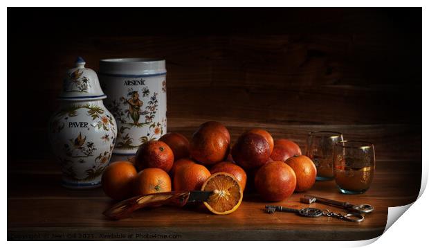 Old Maestra Arsenic and Blood Oranges Print by Jean Gill