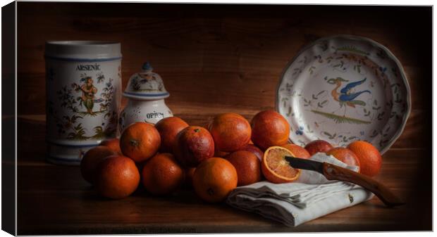 Old Maestra Blood Oranges and French Faience Pottery Canvas Print by Jean Gill