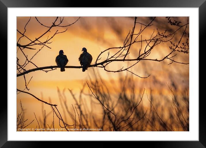 Evening chat Framed Mounted Print by Heather Sheldrick