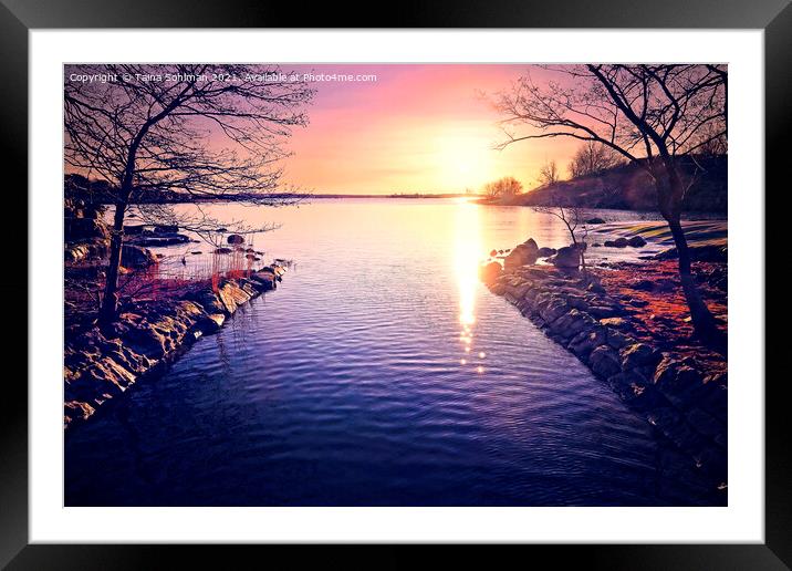 Pink Morning at the Small Channel Framed Mounted Print by Taina Sohlman