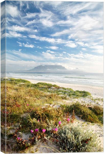 Cape Town from Table Bay Canvas Print by Neil Overy